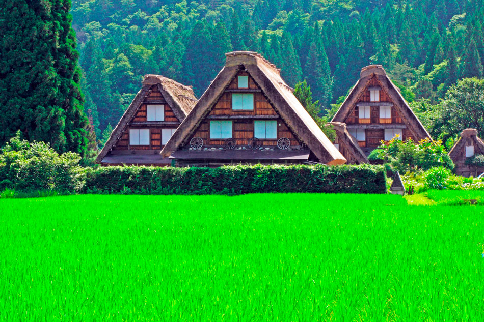 'Gassho-zukuri' houses