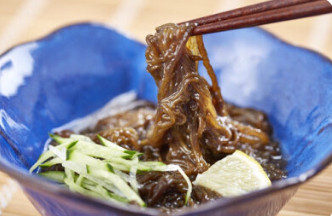 Fucoidan: Immunity from the Deep