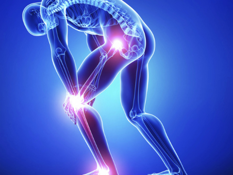 Glucosamine and Chondroitin - essential substances for healthy joints and beautiful skin