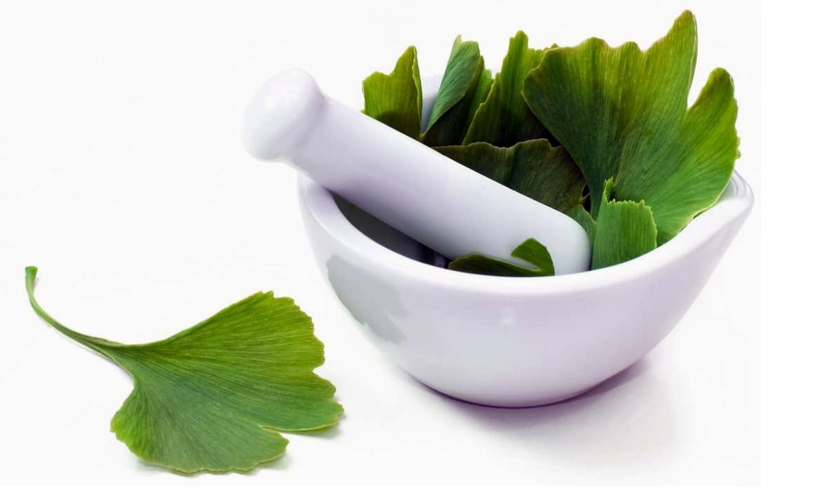 How to prolong youthful skin and brain activity? Ginkgo Biloba knows!
