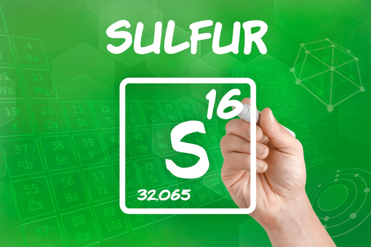 Sulfur: benefits and food sources