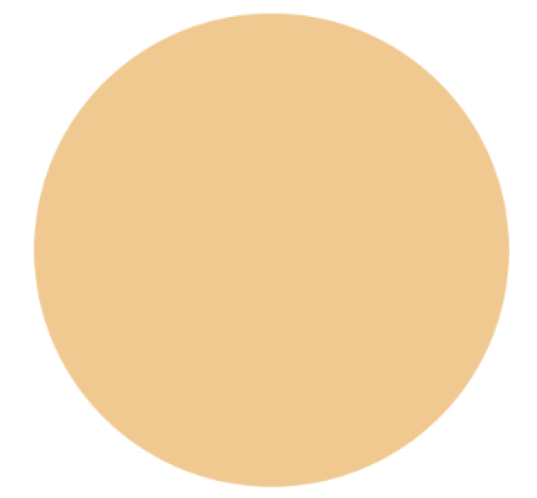 Миниатюра слайда №6