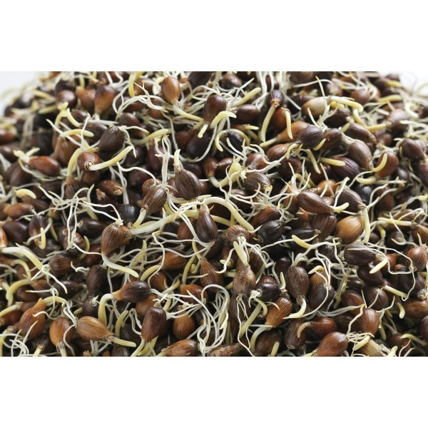 Миниатюра слайда №2