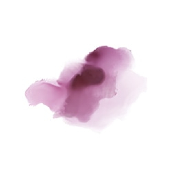 Миниатюра слайда №10