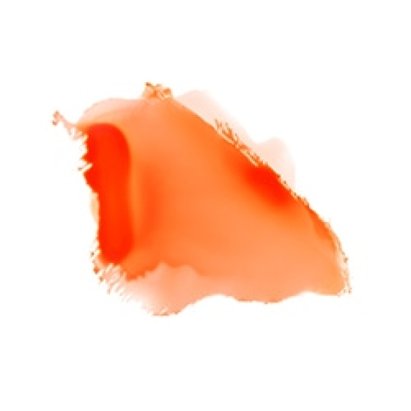 Миниатюра слайда №4