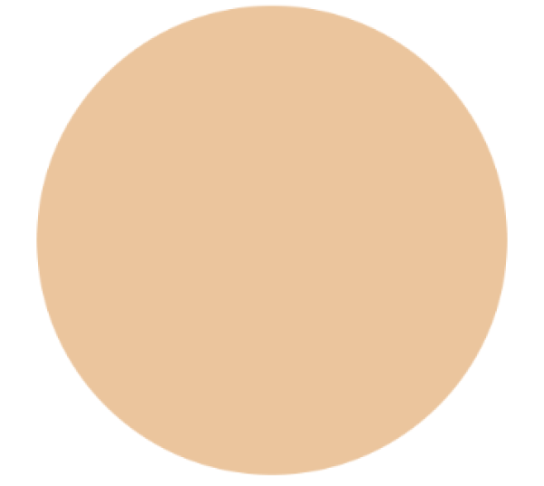 Миниатюра слайда №2