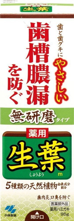 Kobayashi Pharmaceutical Live Leaf Non-Polished Type Medical Toothpaste