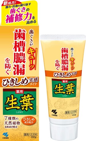 Kobayashi Pharmaceutical Leaves HB Toothpaste