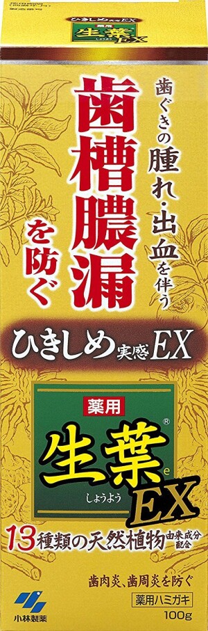 Kobayashi Pharmaceutical Live Leaf (Shouyou) EX Medical Toothpaste